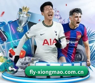 fly-xiongmao.com.cn的方向 - 长期内容价值积累